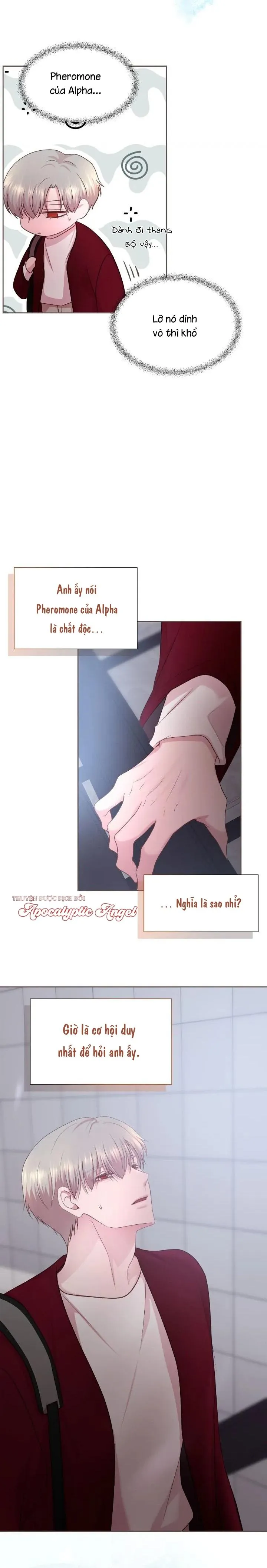 Bạn Đời Định Mệnh Chapter 10 Trang 23