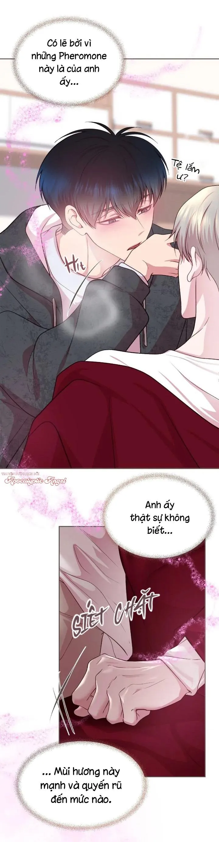 Bạn Đời Định Mệnh Chapter 11 Trang 6