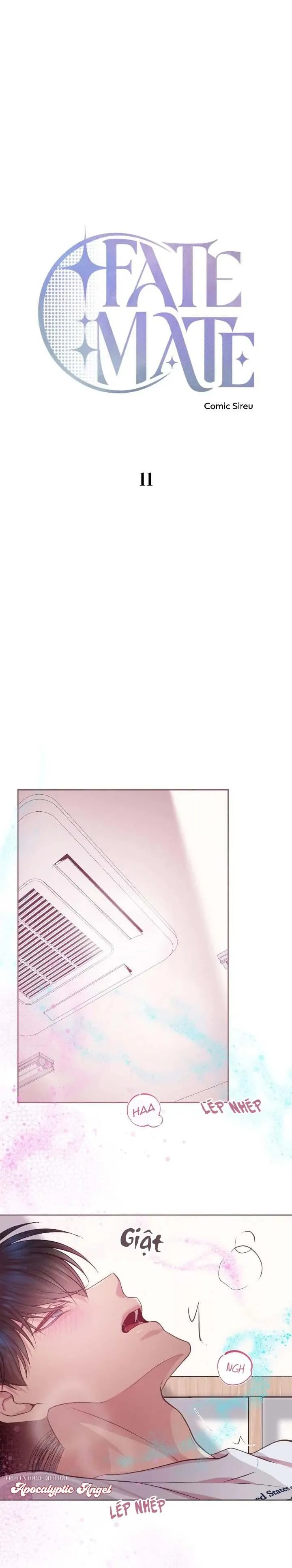 Bạn Đời Định Mệnh Chapter 11 Trang 12