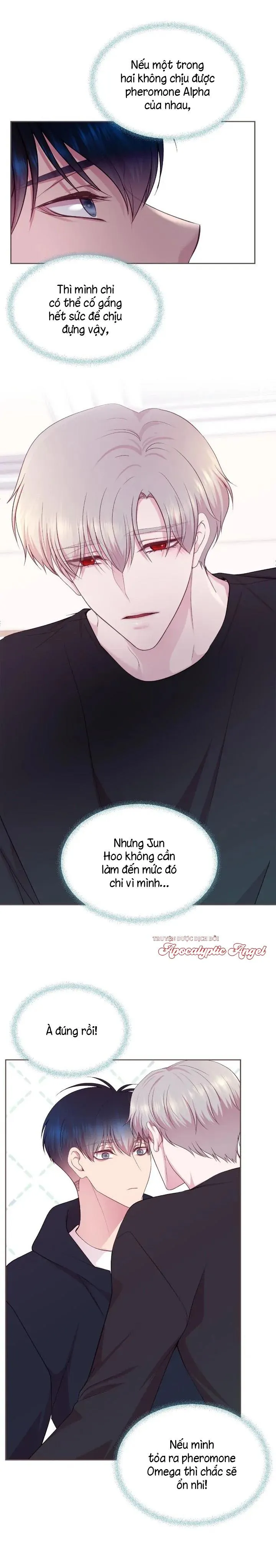 Bạn Đời Định Mệnh Chapter 17 Trang 3