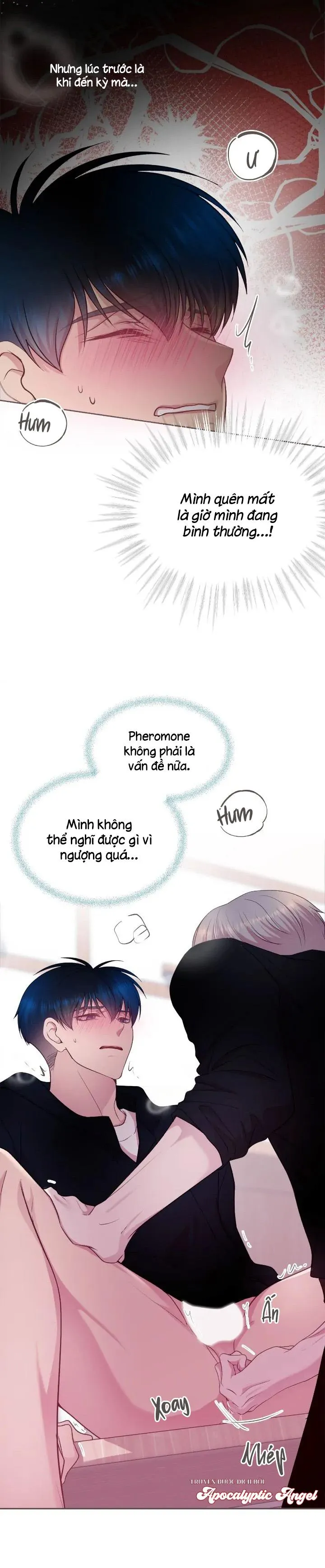 Bạn Đời Định Mệnh Chapter 17 Trang 11