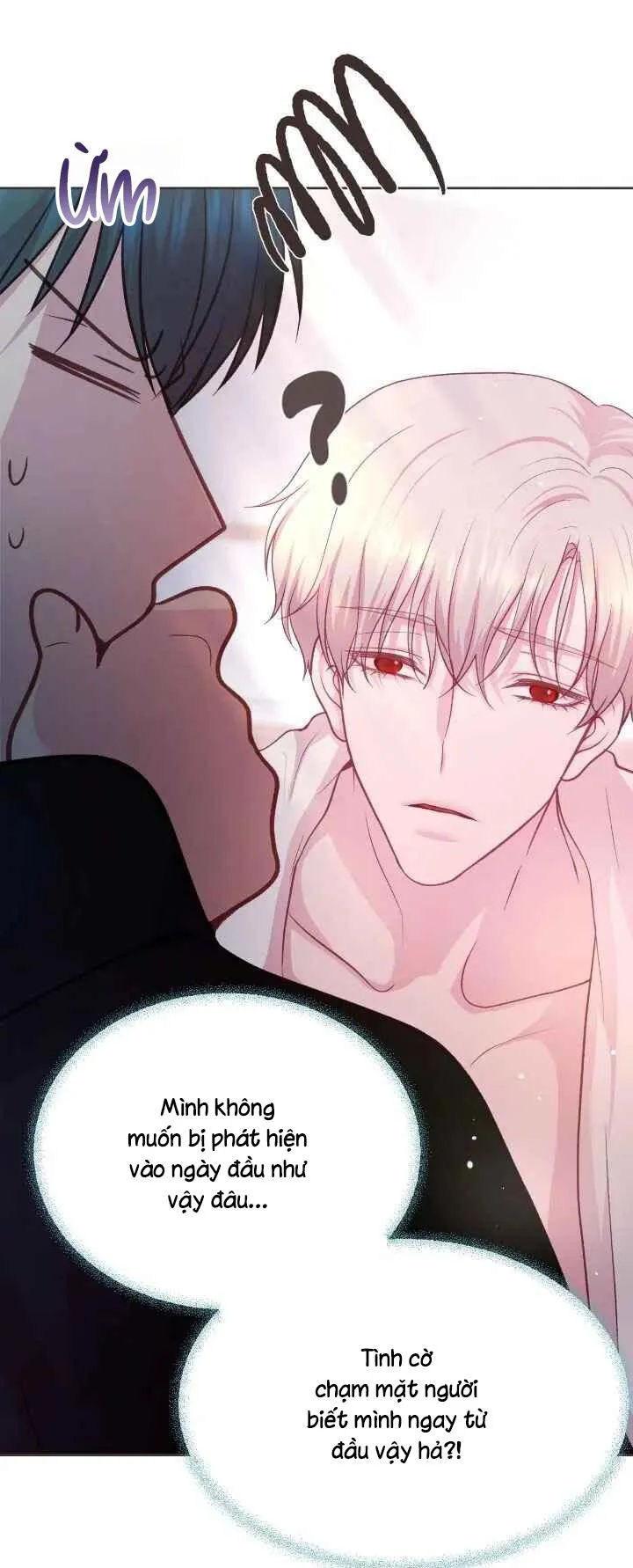 Bạn Đời Định Mệnh Chapter 2 Trang 4