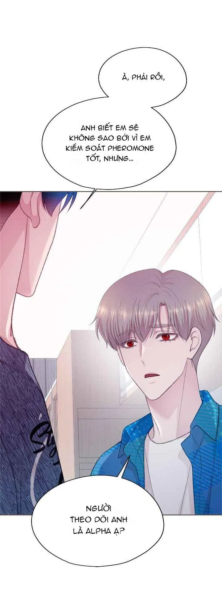 Bạn Đời Định Mệnh Chapter 23 Trang 106