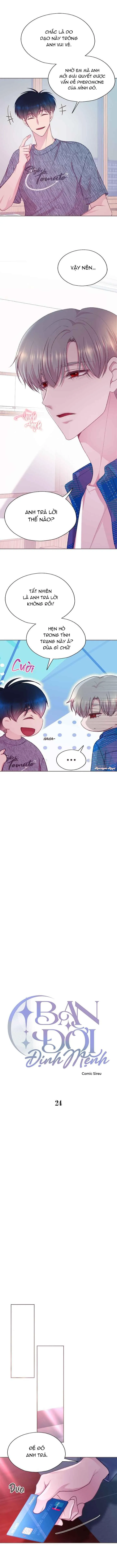 Bạn Đời Định Mệnh Chapter 24 Trang 3