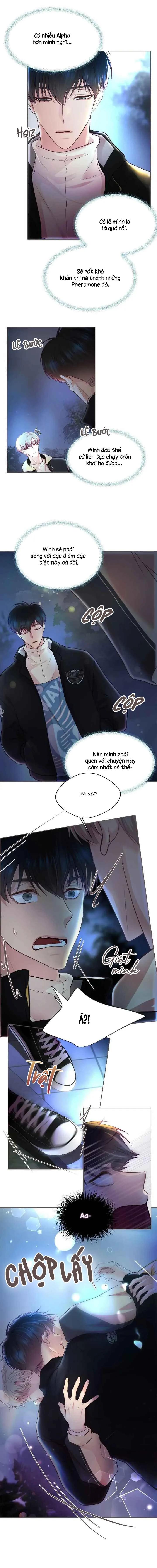 Bạn Đời Định Mệnh Chapter 5 Trang 17