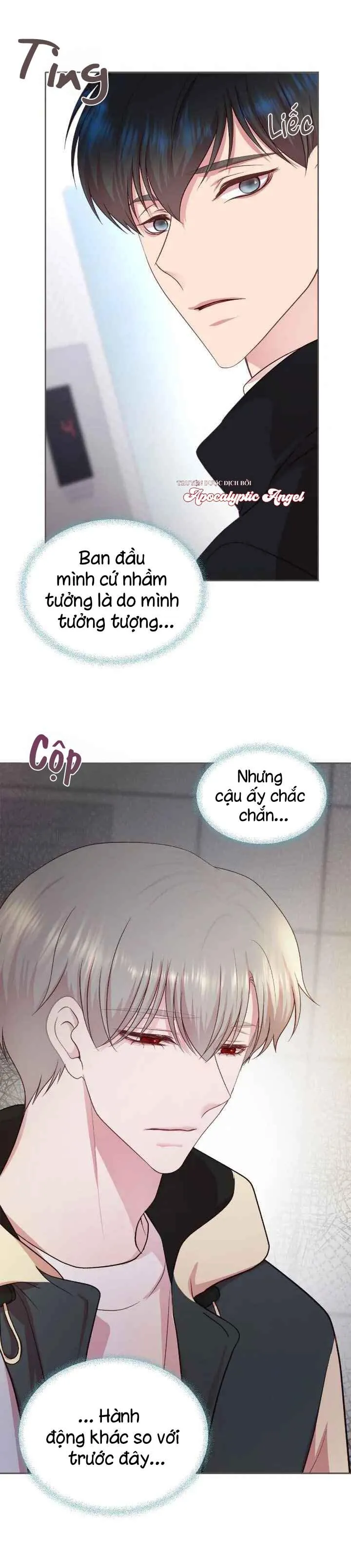 Bạn Đời Định Mệnh Chapter 6 Trang 3