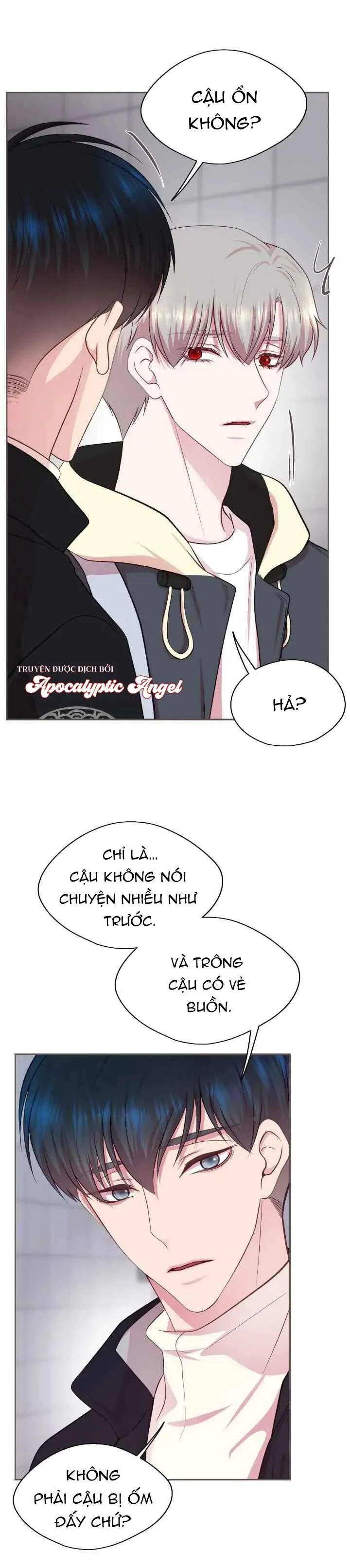 Bạn Đời Định Mệnh Chapter 6 Trang 4