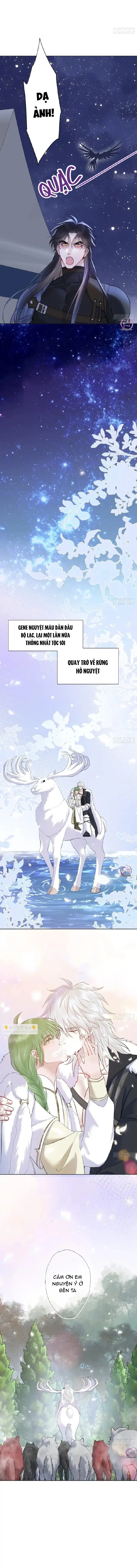 Bản Tình Ca Nụ Hôn Ngục Tù Chapter 50 Trang 8