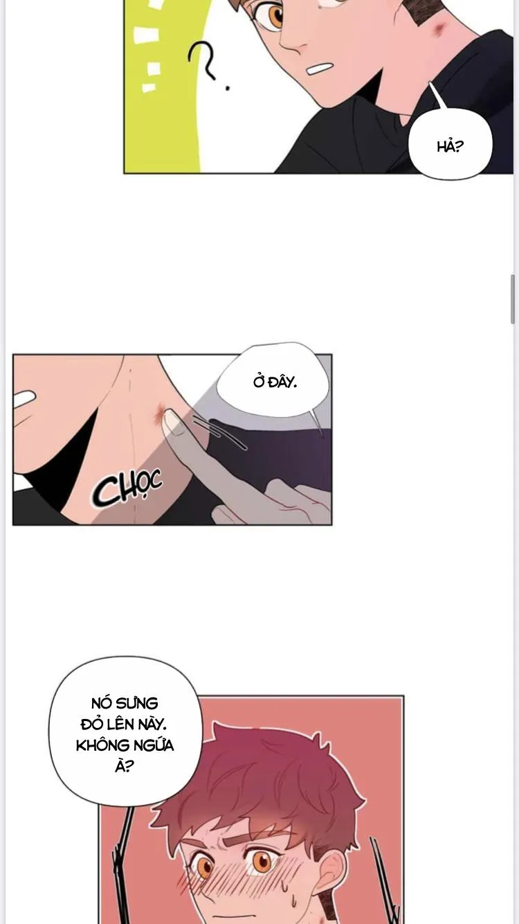 Banana Scandal Chapter 17 Trang 7