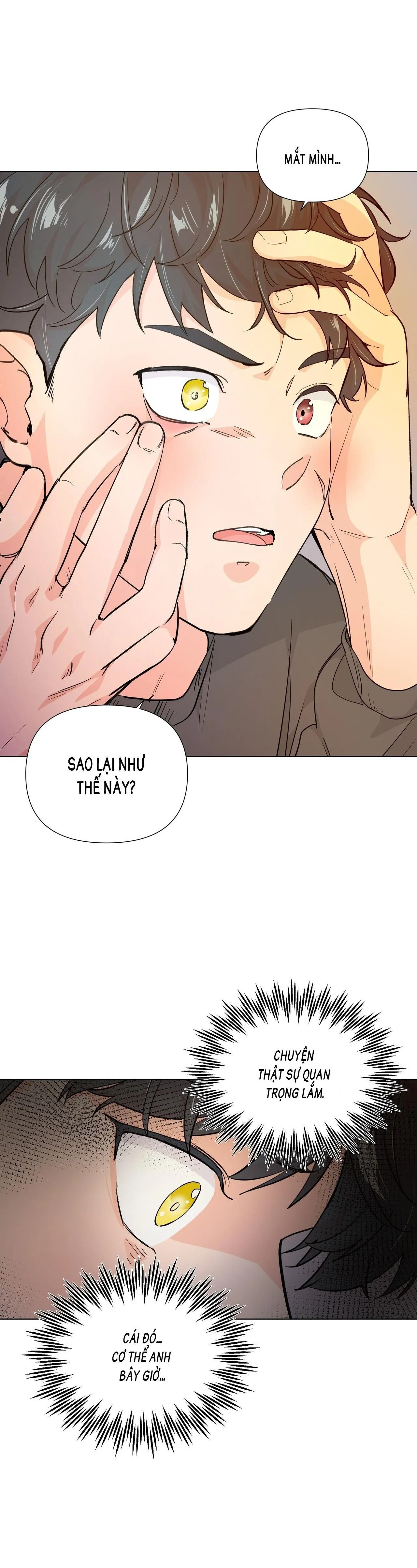 BÁNH GẠO SINH NHẬT CỦA HỔ Chapter 1 Trang 11