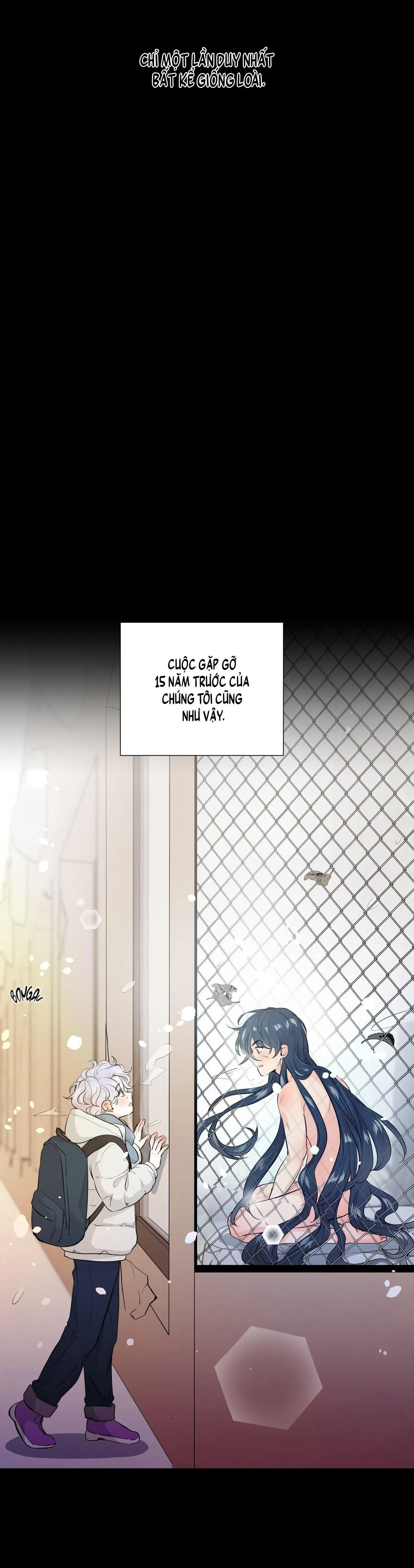 BÁNH GẠO SINH NHẬT CỦA HỔ Chapter 1 Trang 19