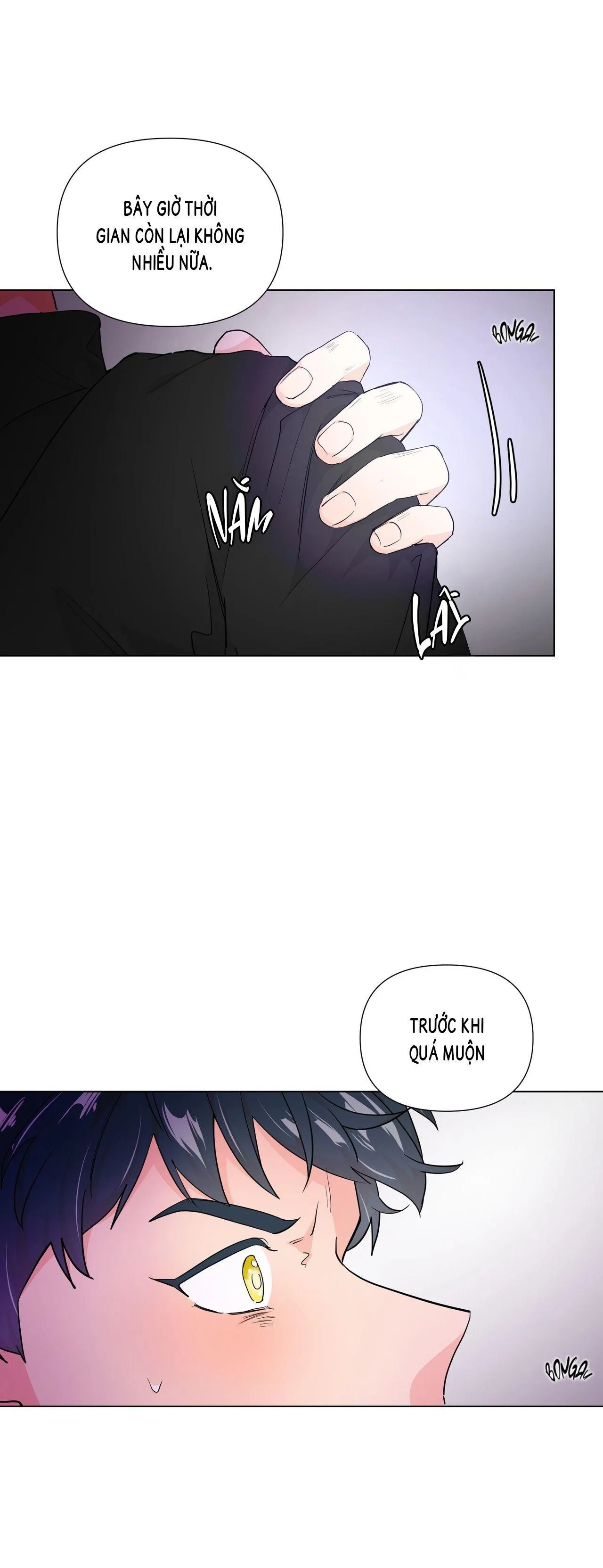 BÁNH GẠO SINH NHẬT CỦA HỔ Chapter 1 Trang 41