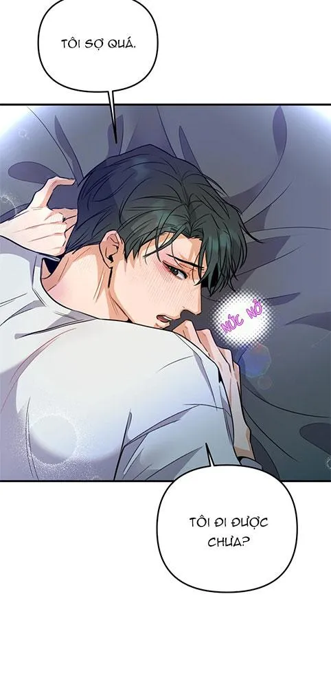 Báo Cáo Chụp Tuyến Tiền Liệt Chapter 3 Trang 12