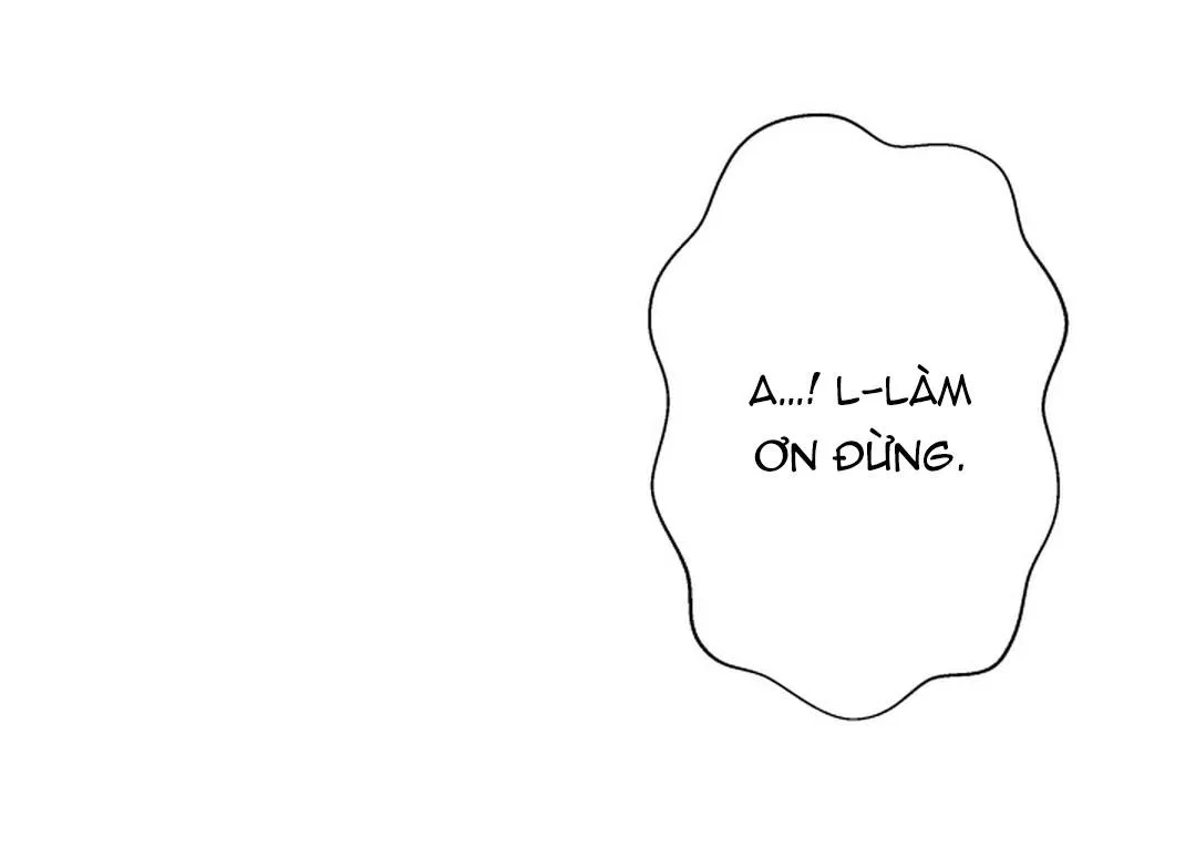 Báo Cáo Chụp Tuyến Tiền Liệt Chapter 4 Trang 19