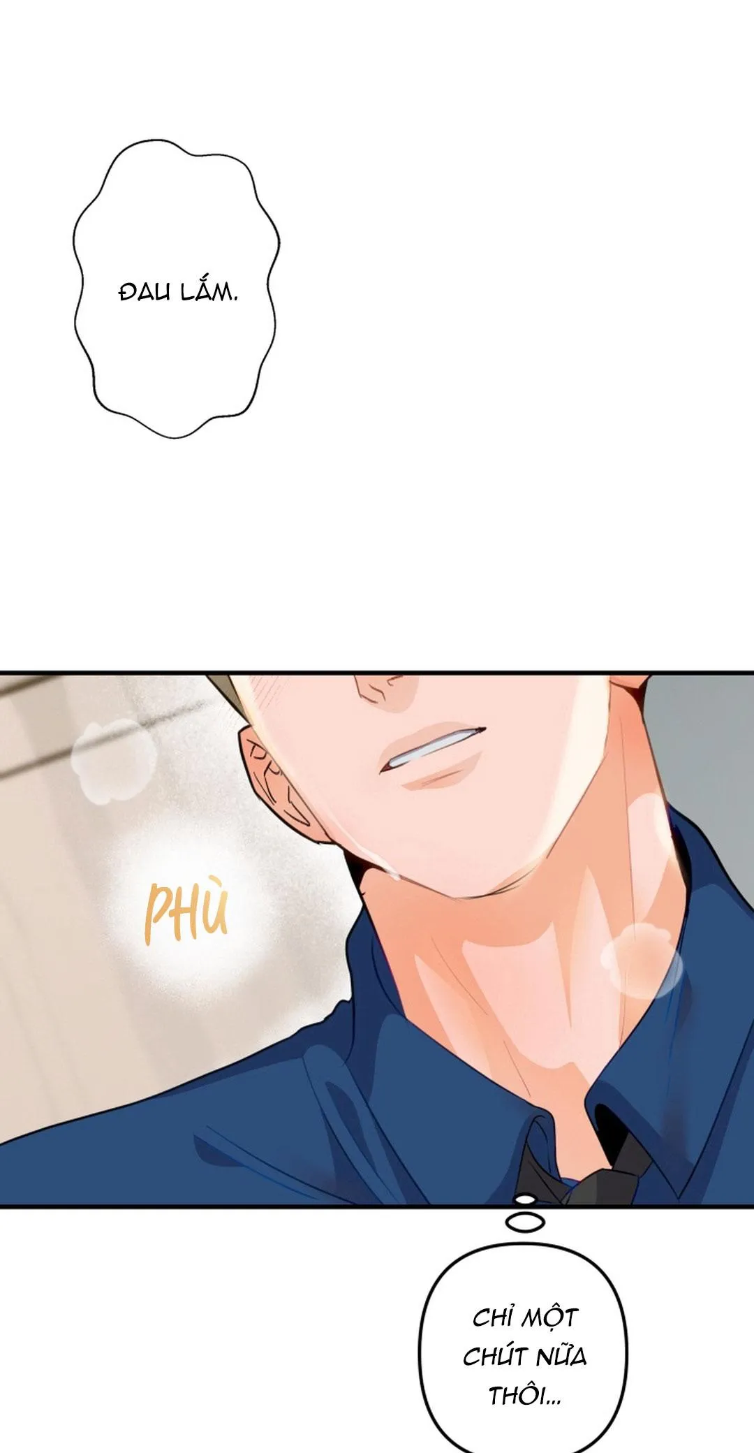 Báo Cáo Chụp Tuyến Tiền Liệt Chapter 4 Trang 30