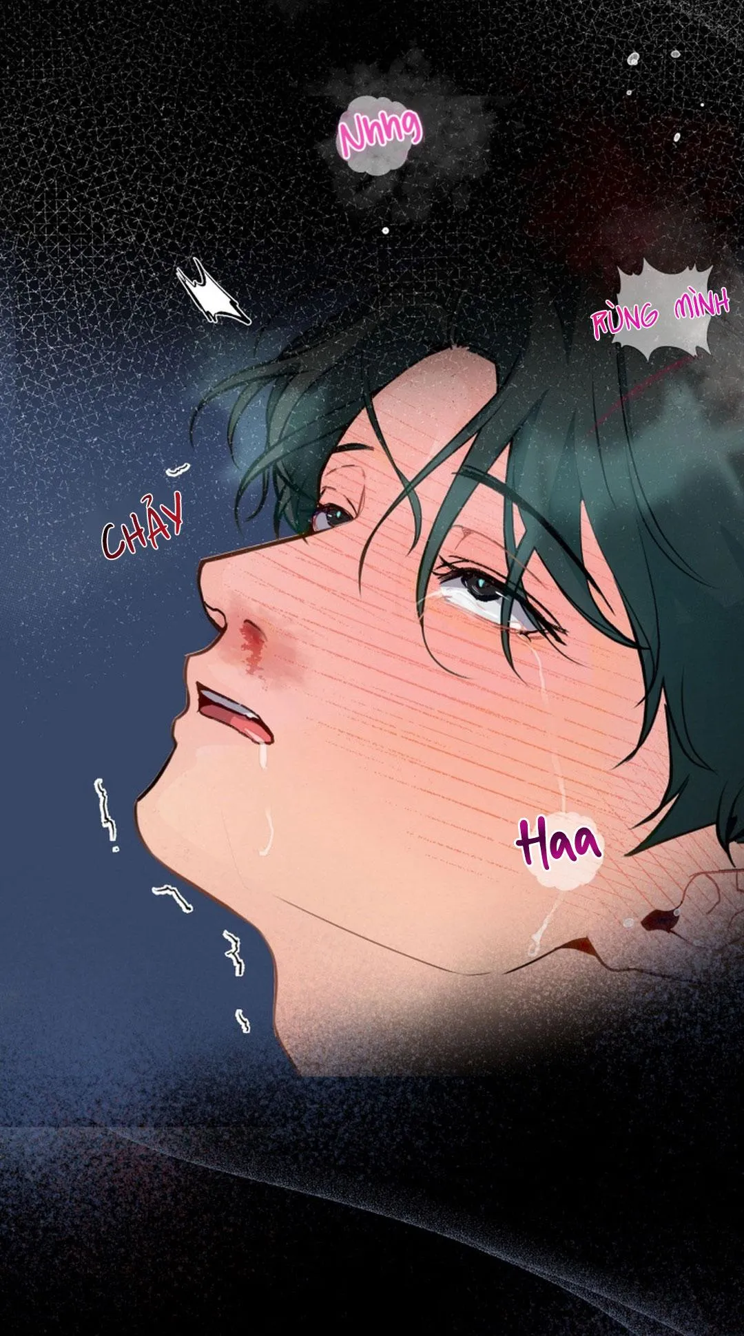 Báo Cáo Chụp Tuyến Tiền Liệt Chapter 4 Trang 79