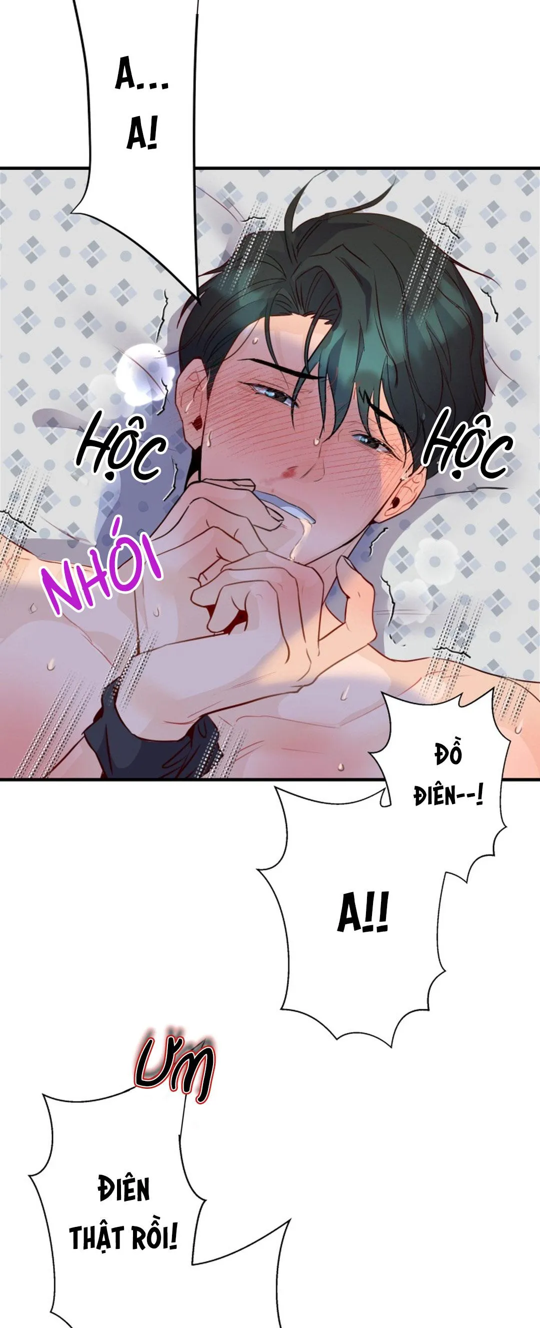 Báo Cáo Chụp Tuyến Tiền Liệt Chapter 5 Trang 11