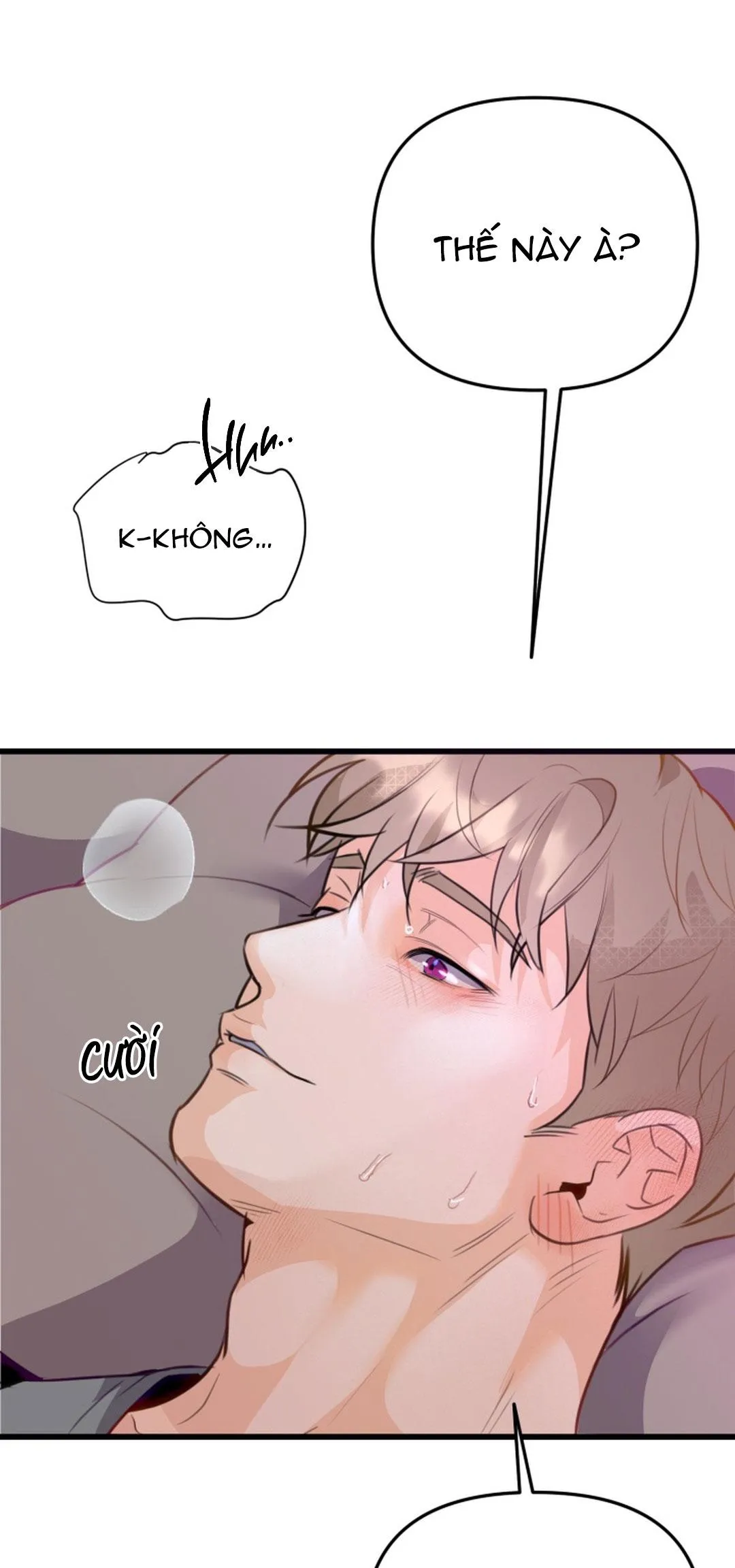 Báo Cáo Chụp Tuyến Tiền Liệt Chapter 6 Trang 25