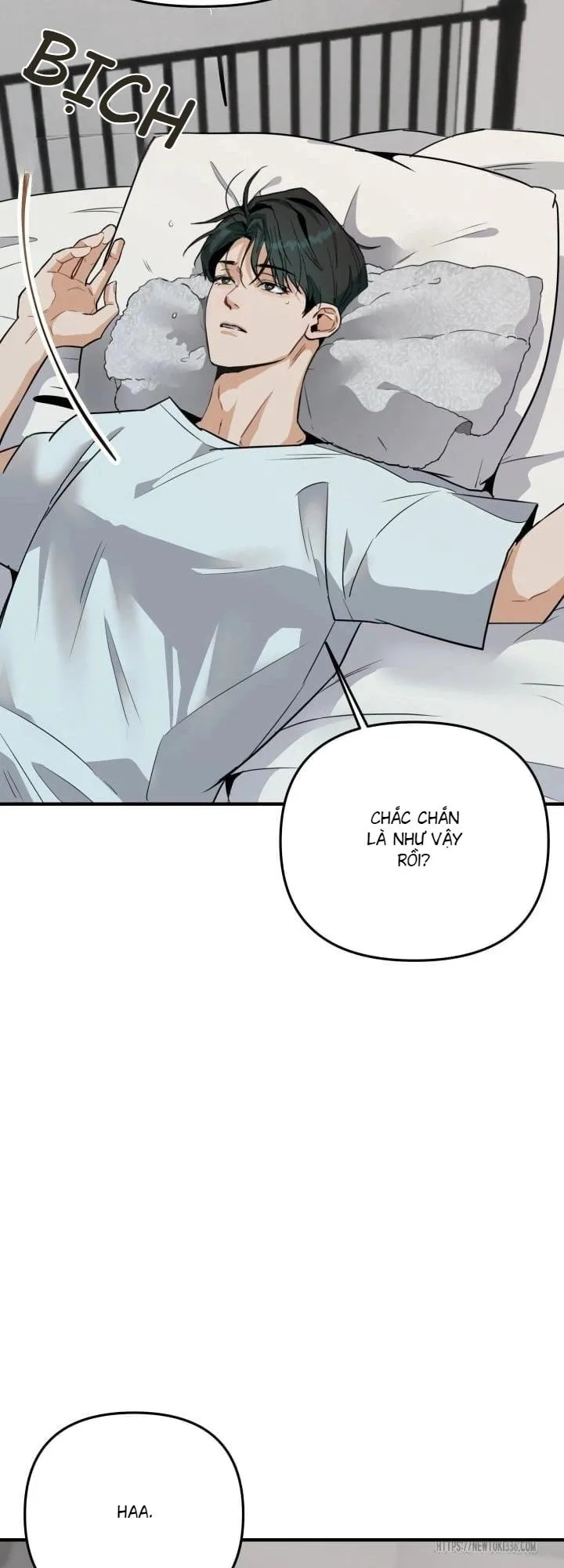 báo cáo thu thập dữ lệu về tuyến tiền liệt Chapter 2 Trang 3