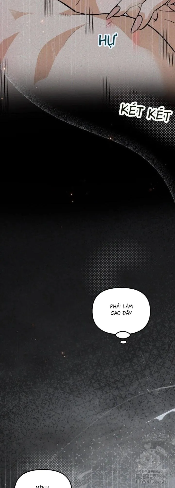 báo cáo thu thập dữ lệu về tuyến tiền liệt Chapter 2 Trang 8