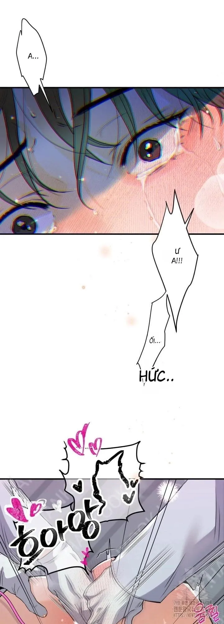 báo cáo thu thập dữ lệu về tuyến tiền liệt Chapter 3 Trang 51