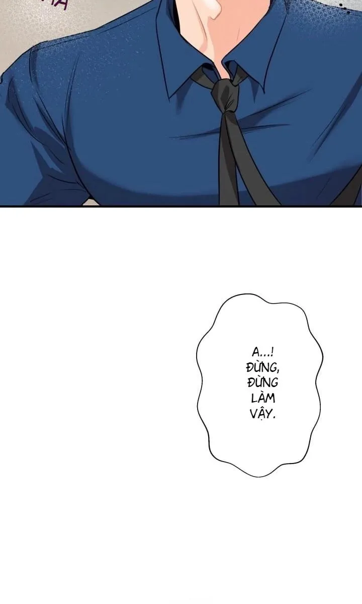 báo cáo thu thập dữ lệu về tuyến tiền liệt Chapter 4 Trang 16