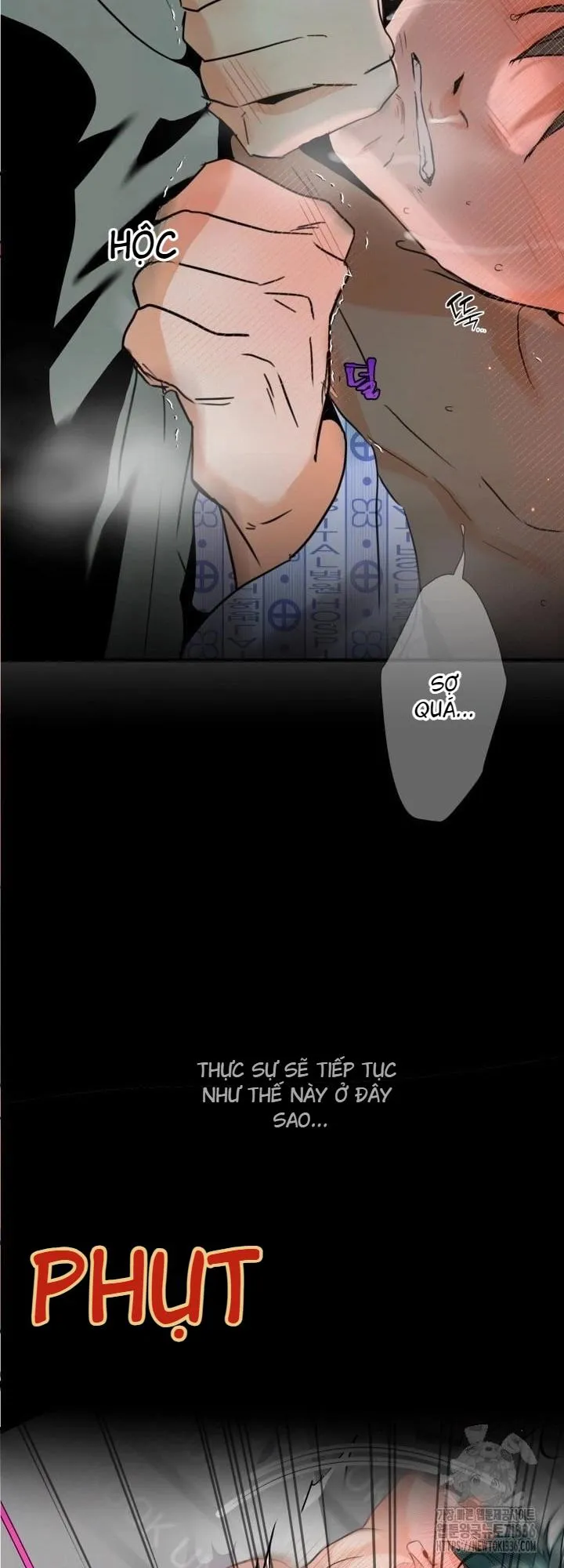 báo cáo thu thập dữ lệu về tuyến tiền liệt Chapter 4 Trang 56