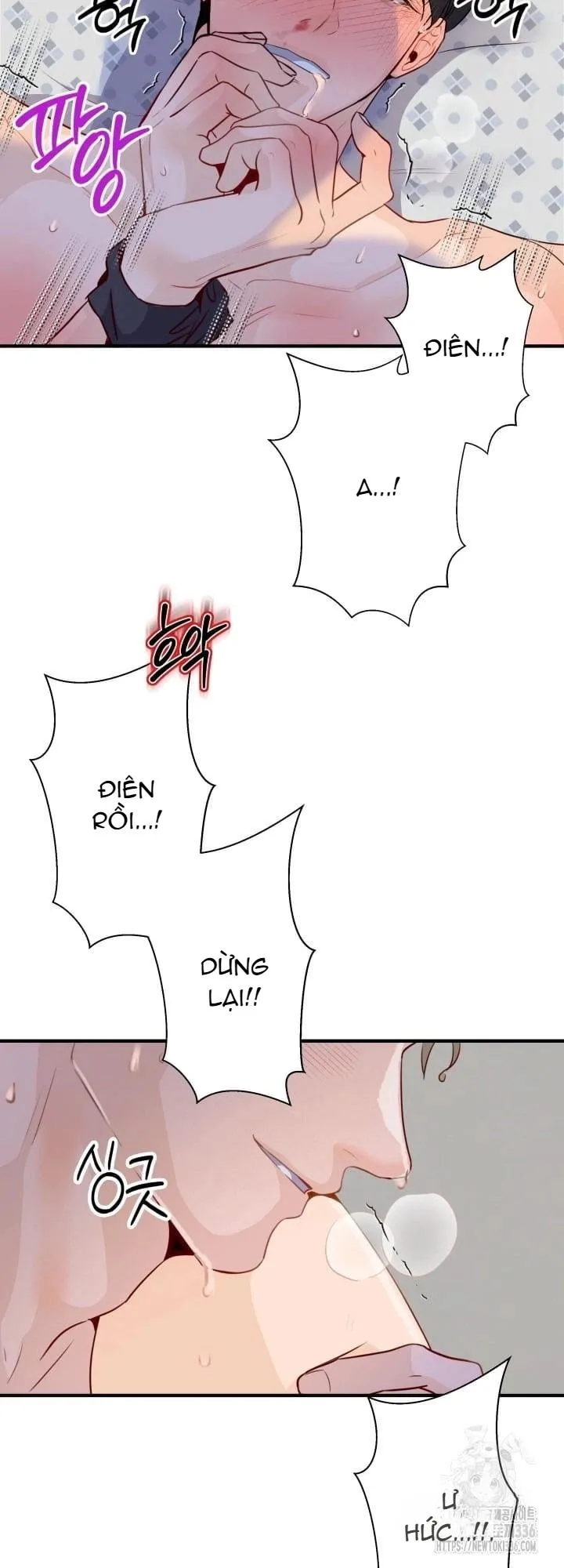 báo cáo thu thập dữ lệu về tuyến tiền liệt Chapter 5 Trang 12