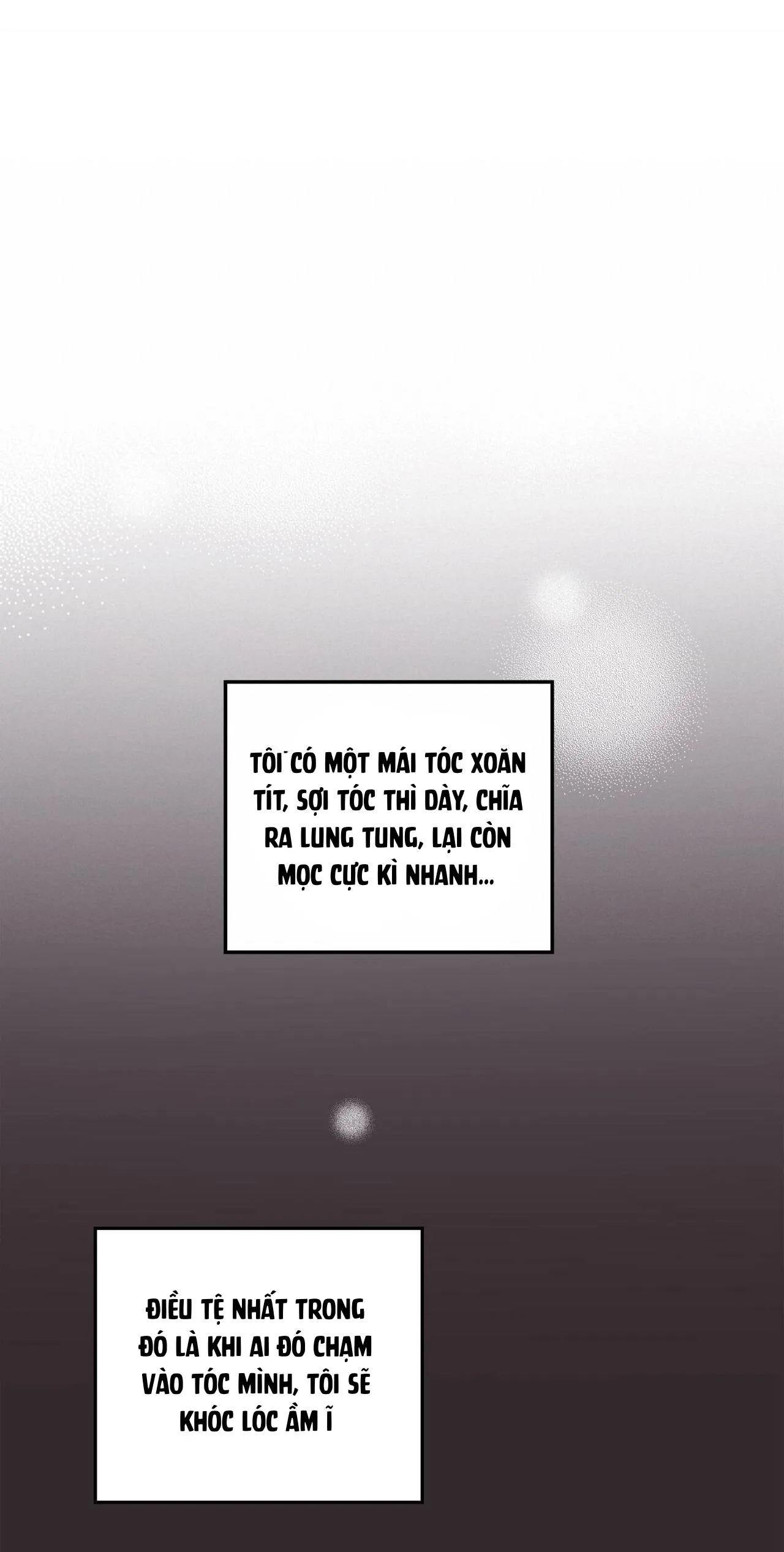 Bí Mật Ẩn Giấu Bên Trong Mái Tóc Chapter 6 Trang 7