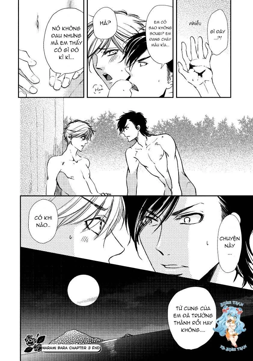 Full Bí Mật Của Hoa Hồng Harami Chapter 3 Trang 30