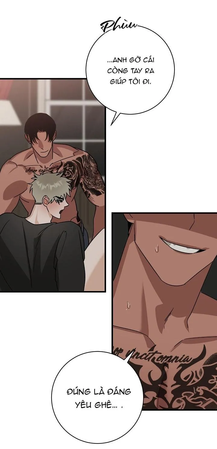 Tuyển tập BL: Quân Phục Chapter 13 Trang 16