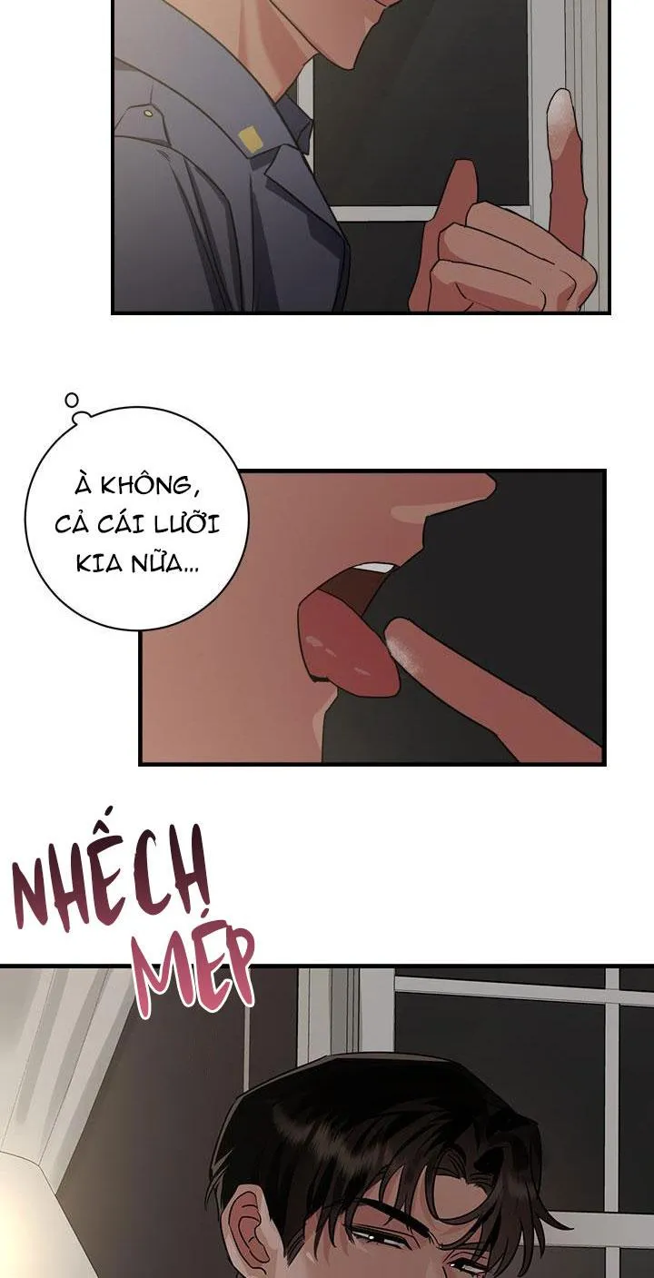 Tuyển tập BL: Quân Phục Chapter 8 Trang 4