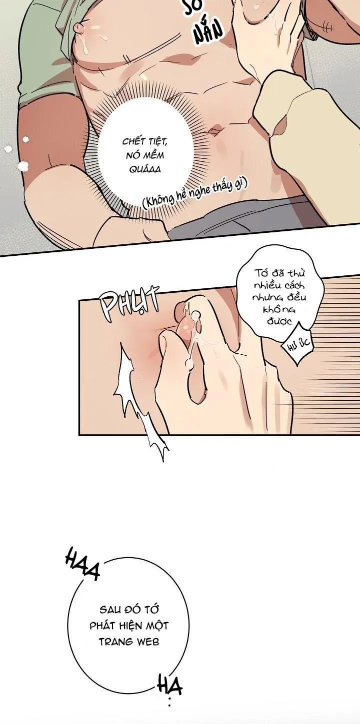 BỘ NGỰC GÂY PHIỀN TOÁI CHO OTAKU Chapter 2 Trang 10