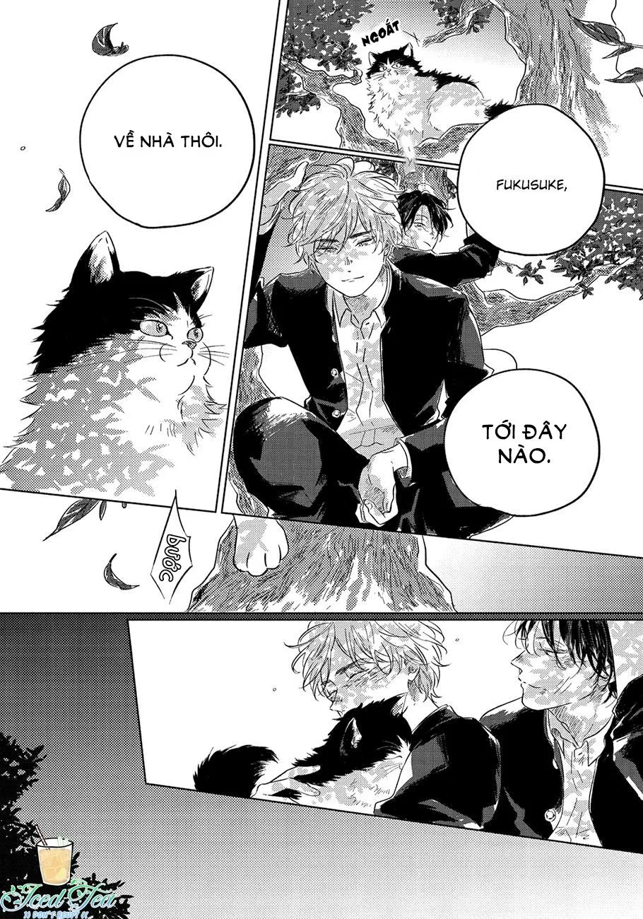 Bokura No Tsuzuki Chapter 5 Trang 18