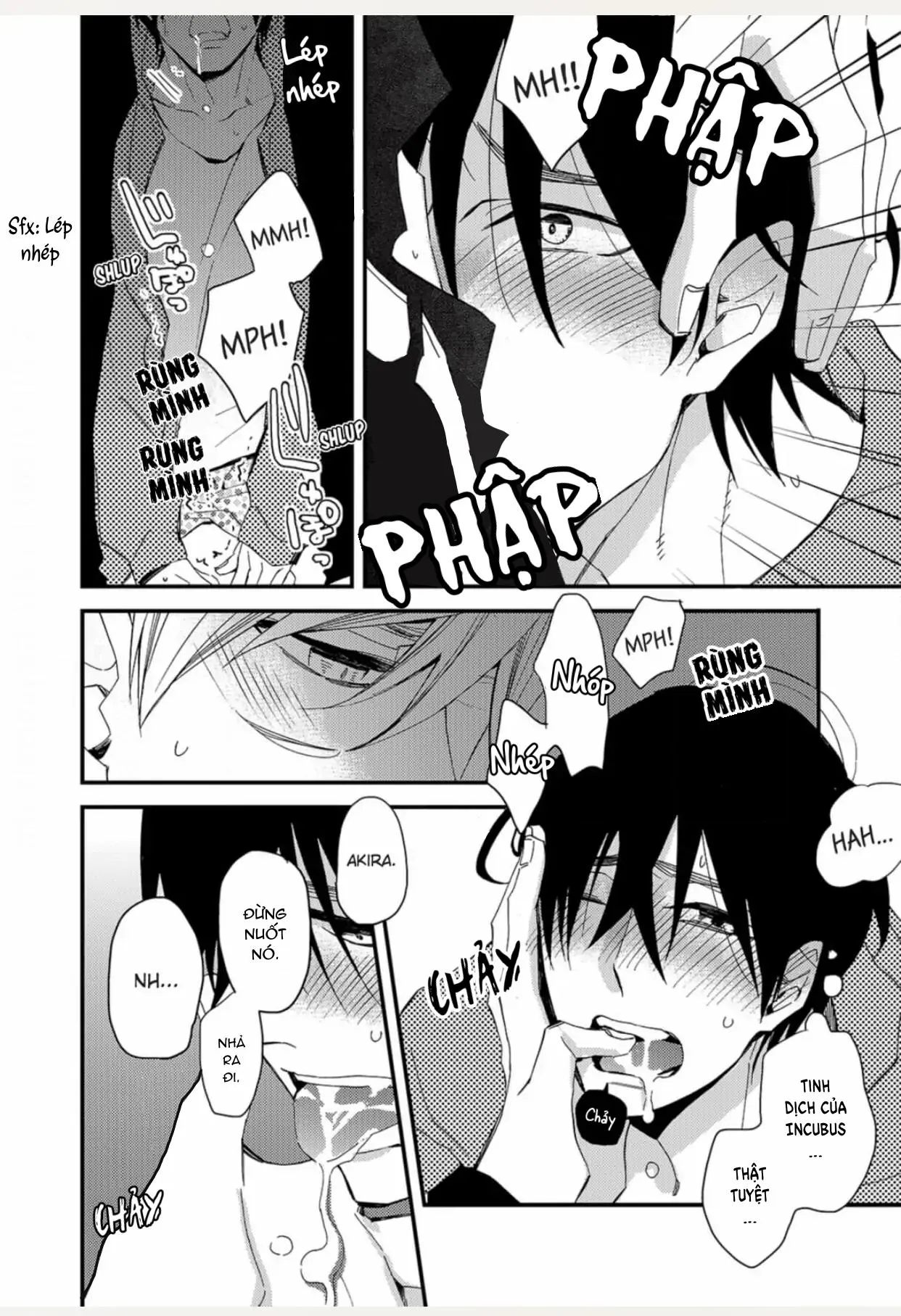 Nguyên tắc ăn uống của Incubus Chapter 2 Trang 13