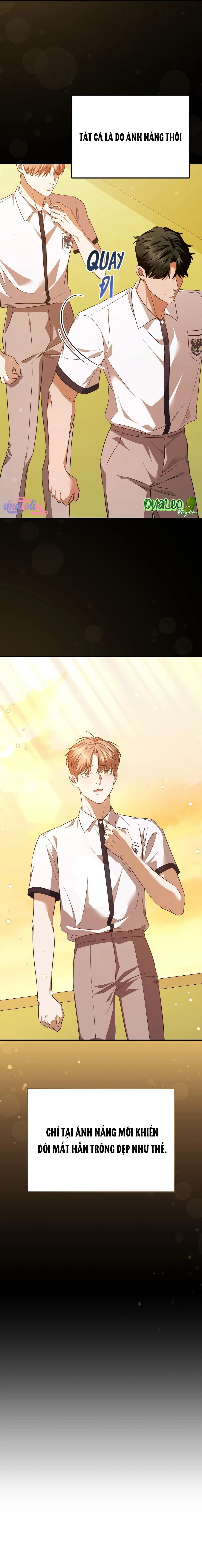 Cao Tốc Lãng Mạn Chapter 4 Trang 5