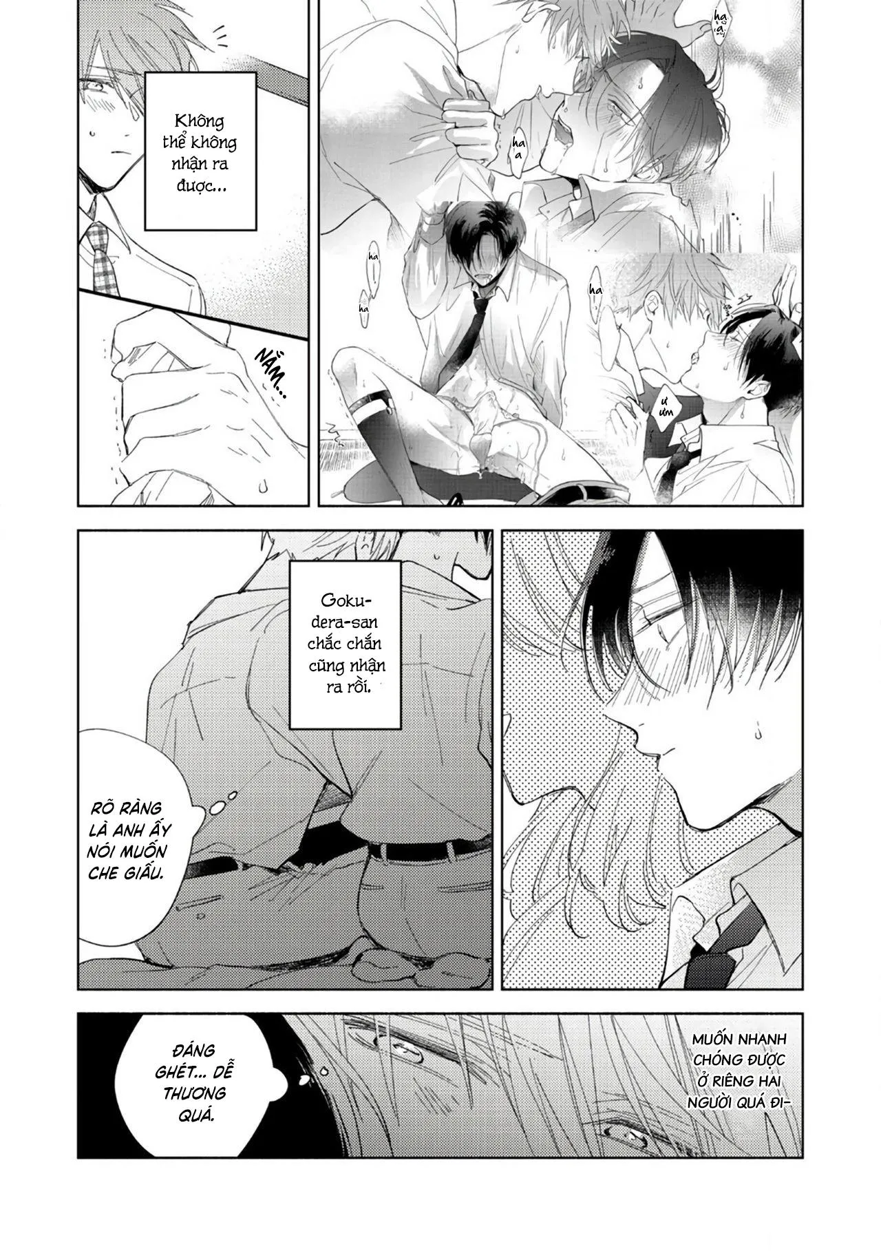 Cấp Trên Ác Quỷ Gokudera Của Tôi Muốn Bị Phơi Bày Chapter 5 Trang 15