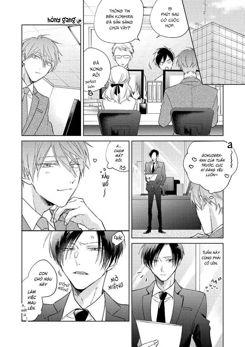 Cấp Trên Ác Quỷ Gokudera Của Tôi Muốn Bị Phơi Bày Chapter 8 Trang 22