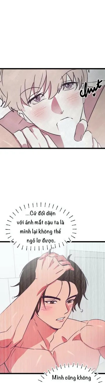 Cậu đúng là đồ ngốc Chapter 8 Trang 12