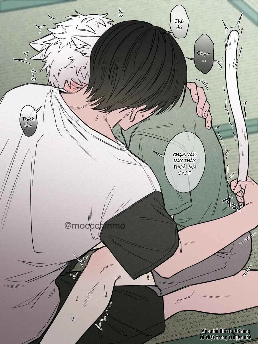 Cho 50k Couple Lộn Xộn Chapter 2 Trang 5