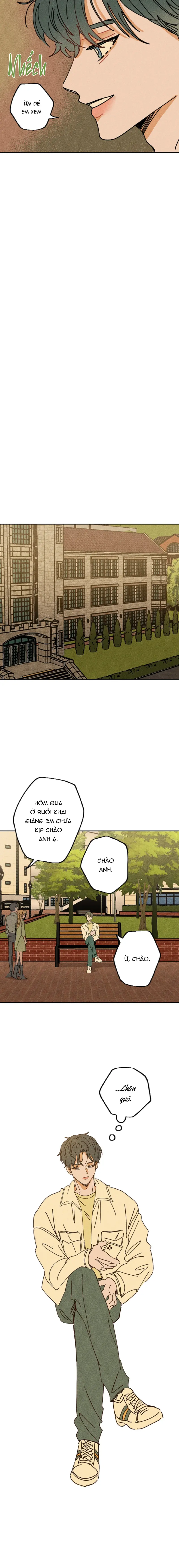 Đàn Anh Dễ Xơi Chapter 2 Trang 12