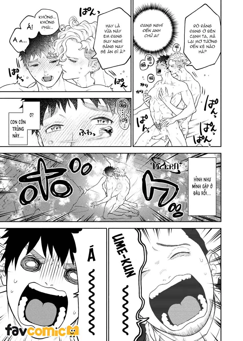 Em Gái Thân Yêu Anh Đã Trở Thành Trinh Nữ Được Ban Phước Rồi Chapter 13 Trang 8