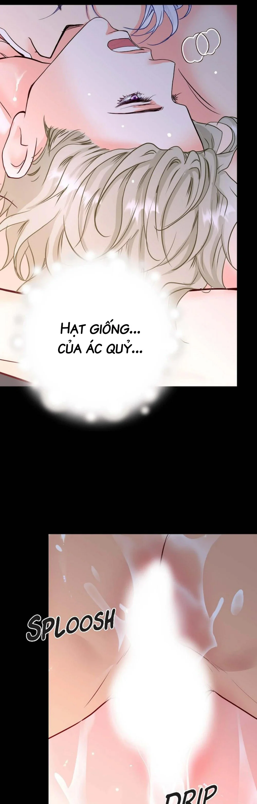 Hôn Thê Của Bóng Tối Chapter 24 Trang 17