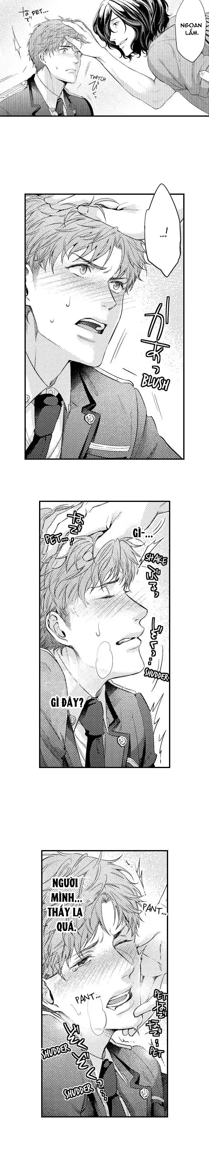 Khao Khát Quỳ Xuống Như Một Con Chó Ngoan Chapter 3 Trang 3