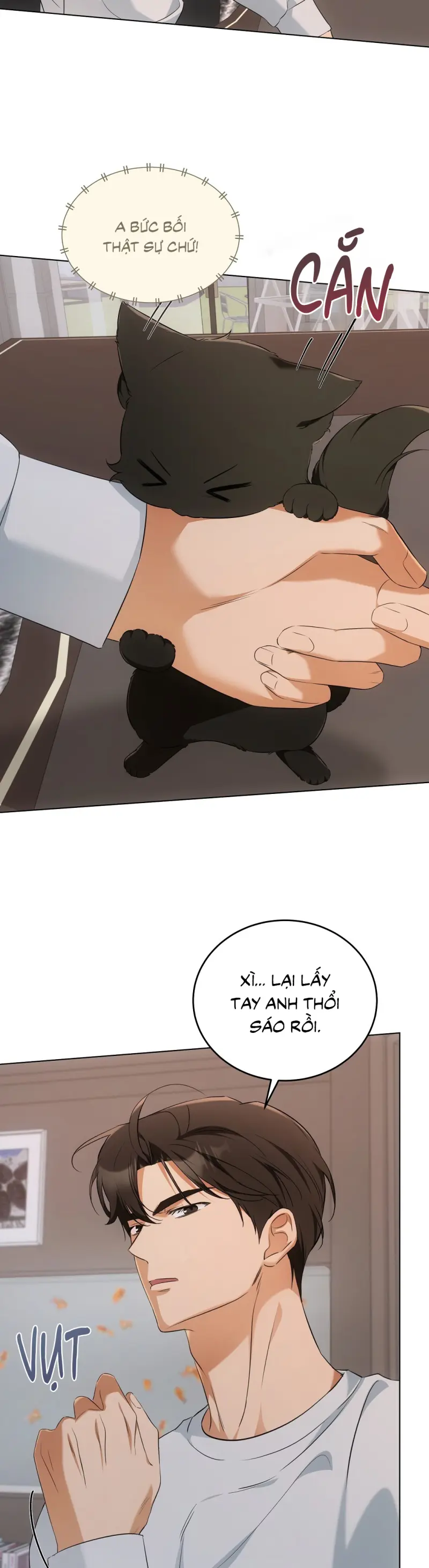 Liệu Pháp Trị Liệu Mèo Chapter 10 Trang 11