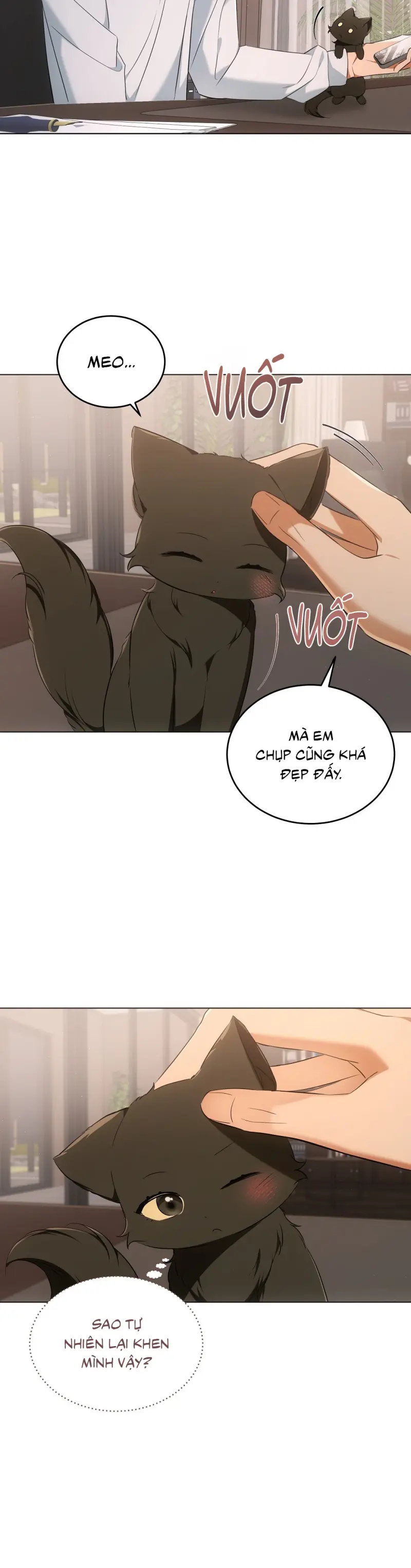 Liệu Pháp Trị Liệu Mèo Chapter 10 Trang 17