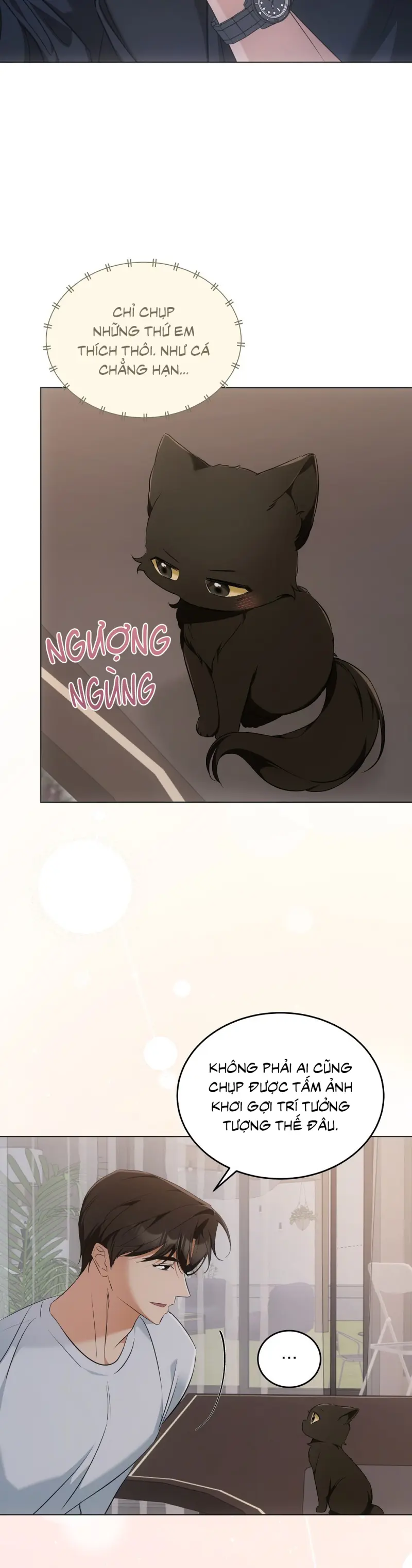 Liệu Pháp Trị Liệu Mèo Chapter 10 Trang 20
