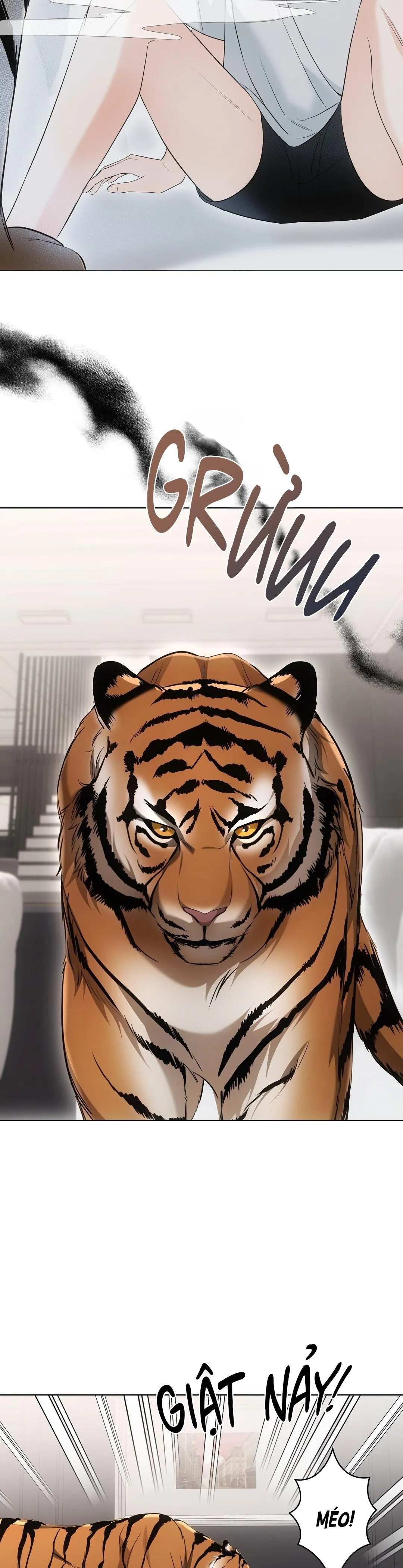 Liệu Pháp Trị Liệu Mèo Chapter 11 Trang 26