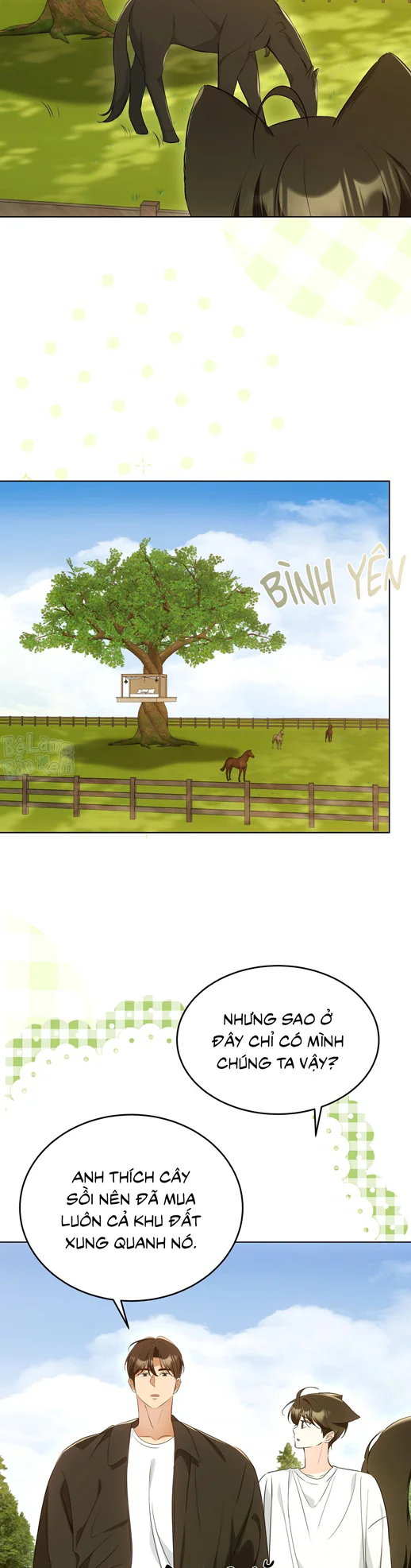 Liệu Pháp Trị Liệu Mèo Chapter 12 Trang 4