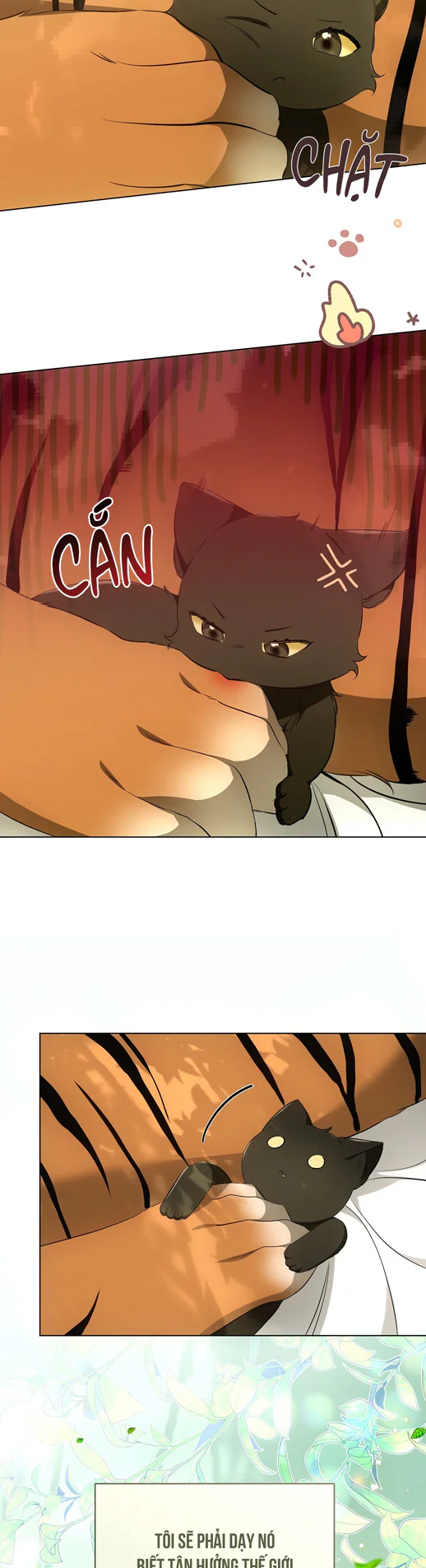 Liệu Pháp Trị Liệu Mèo Chapter 12 Trang 30